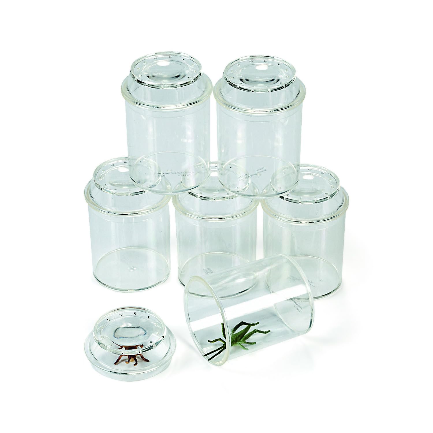 Photo 1 of Fun Express Clear Plastic See-Through Bug Jars - 3" (Pack of 10) - Ideal for Kids' Science Projects & Educational Activities