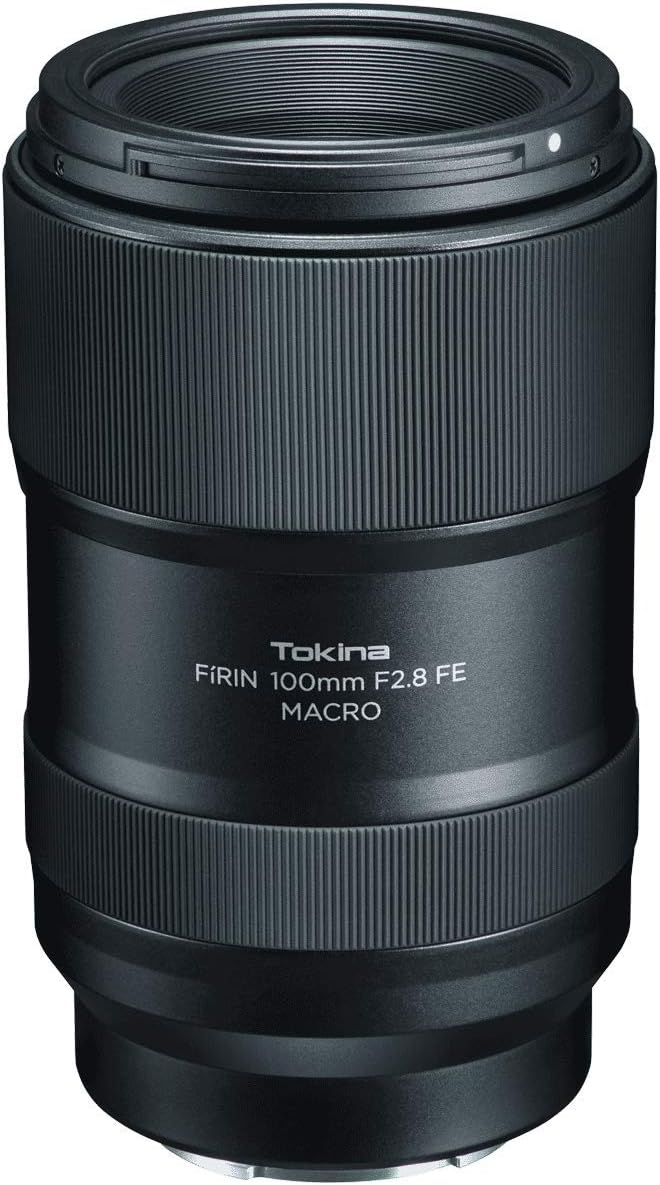 9 Best Lens For Insect Photography (2022 Guide & Reviews) Bestoflens