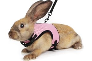 Gonalulu Bunny Rabbit Harness Leash Set, Adjustable Buckle Breathable Mesh Vest Escape Proof for Small Pets Walking Outdoor(Pink, Chest:11-13.7 inch)
