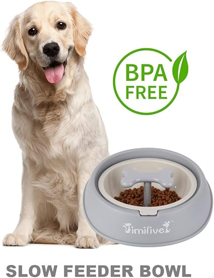 Pet Supplies Dog Feeder Slow Eating Pet Bowl L 0 65l Amazon Com