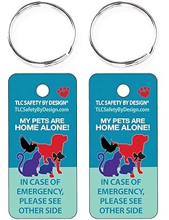 rainbow budgies for sale