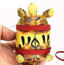 Turtle Harness and Leash with Wings Tortoise Leash