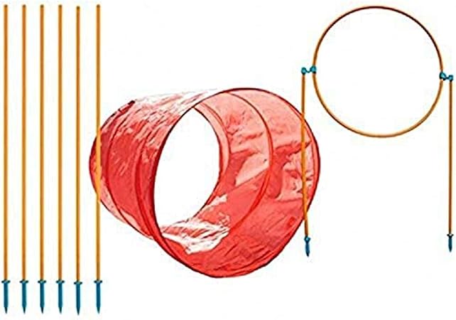 agility course for dogs amazon