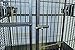 Parrot Macaw Cockatoo African Grey Bird Cage Q24-2822 Black Veinthumb 3