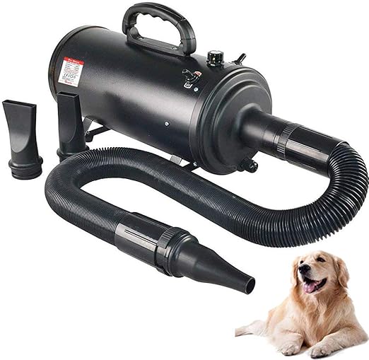 dog blaster