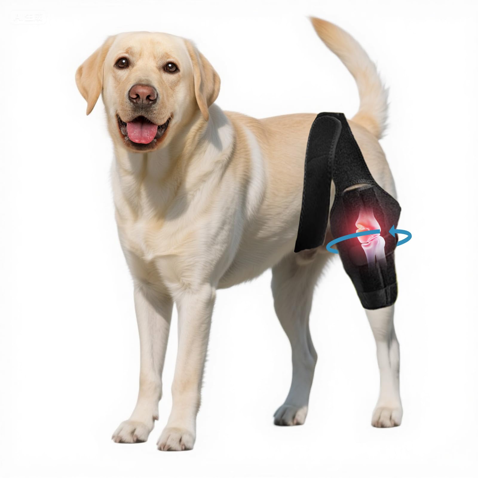 Photo 1 of Nylvian Dog Knee Brace for Torn Acl Hind Leg - Adjustable Stabilizing Support for Ccl Injury, Luxating Patella, Hind Leg Pain & Arthritis - Rear Leg Limp Support