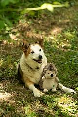 Petface Heston Hedgehog Plush Dog Toy Pack of 1 view 2