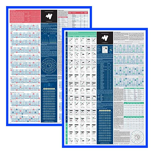 The Really Useful Bass Acoustic Guitar Bundle Master Acoustic & Bass