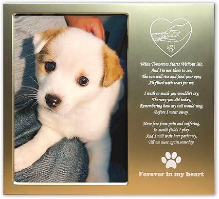 amazon pet memorial
