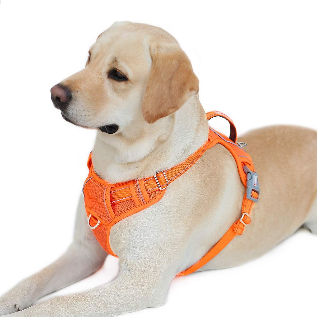 anti pull dog harness amazon