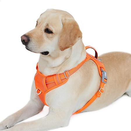 amazon dog harness with handle
