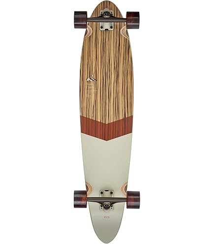 Amazon.com : GLOBE Skateboards Cruiser Complete : Sports & Outdoors