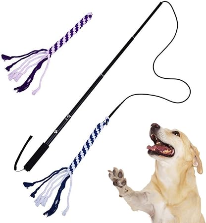 do you spay or neuter a female cat