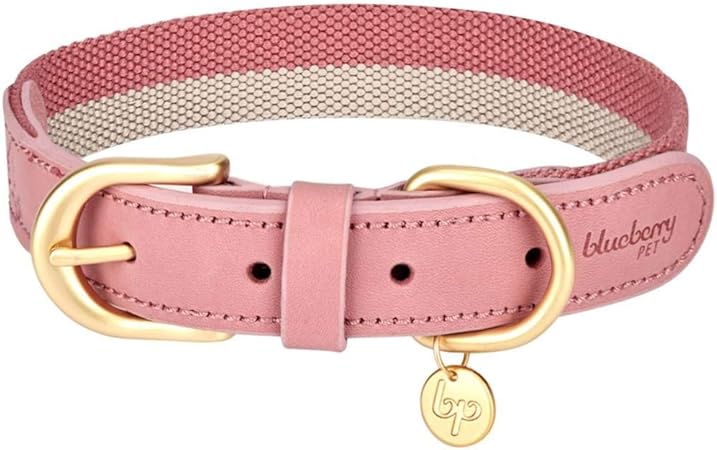 Baby pink dog collar Clearance