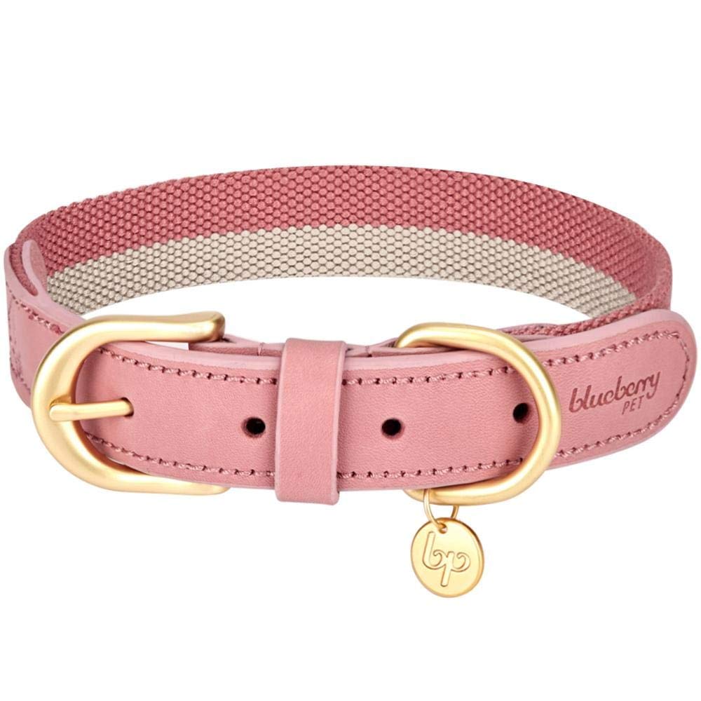 cheap leather dog collars