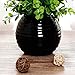 YILIYAJIA Artificial Orchid Bonsai with Ceramics Vase, Fake PU Real Touch Flowers Phalaenopsis Bonsai for Table Office Home Party Decoration (Style 1, Black Vase)