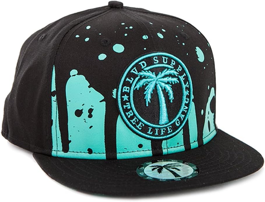 Blvd Supply Dip Splash Snapback