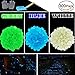 JUSLIN 300pcs Glow in the Dark Garden Pebbles, Green Blue White, with Gardening Glove and Shovel for Gardening Decorations