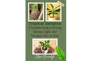 Tropical Delights: A Complete Guide to Growing Banana, Coffee, and Pineapple Trees at Home