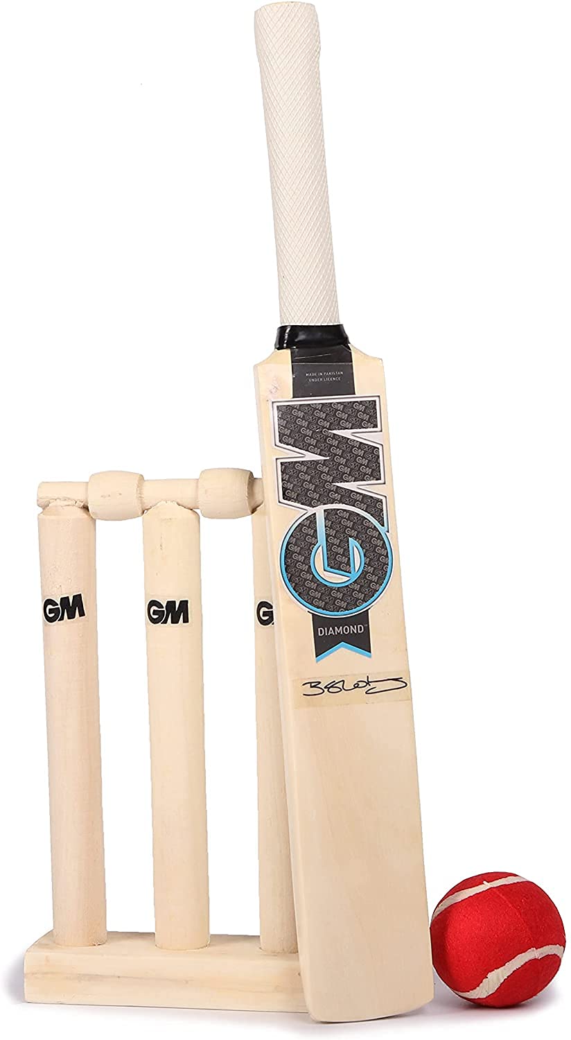 GM MINI CRICKET GAME