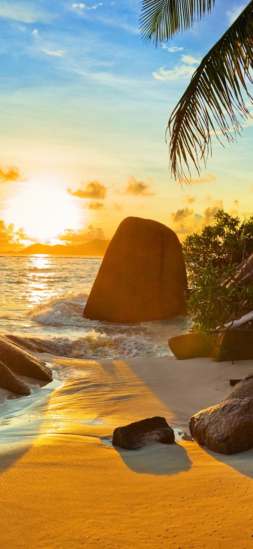 PeelitStickit, Paradise Vacations Wall Murals, ID-007, vinyl