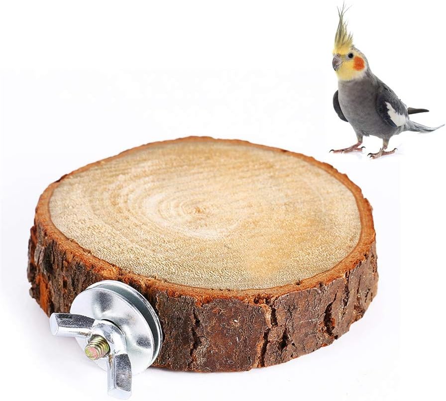 Bird Perch Stand Platform Toy Natural Wood Parrot Playground Grinding Toys Exercise Toy for Small Parakeets Cockatiels Hamster Gerbil Rat Mouse