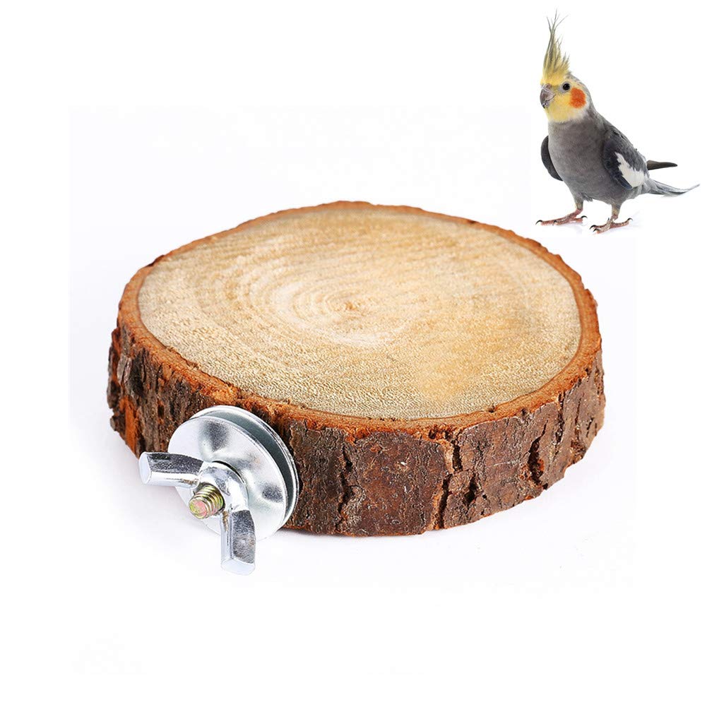 Bird Perch Stand Platform Toy Natural Wood Parrot Playground Grinding Toys Exercise Toy for Small Parakeets Cockatiels Hamster Gerbil Rat Mouse