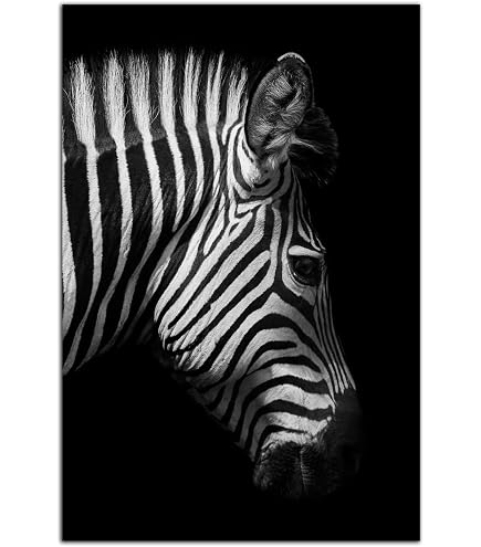 Amazon.com: NWT Canvas Print Wall Art Portrait of Zebra Animals