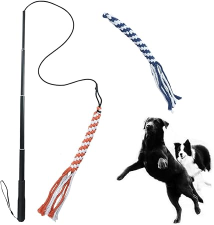 outward hound tail teaser dog flirt pole toy