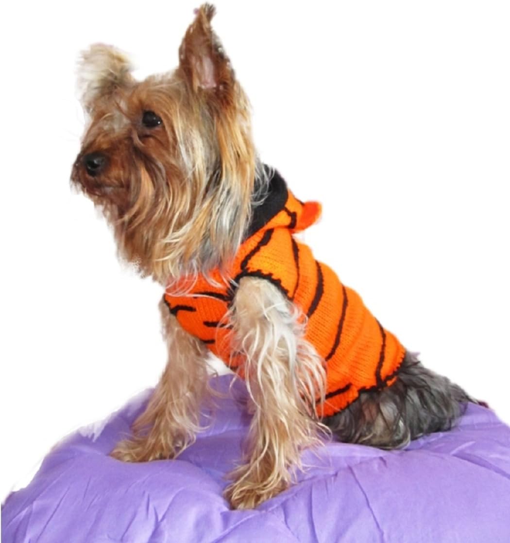 teacup yorkie chihuahua