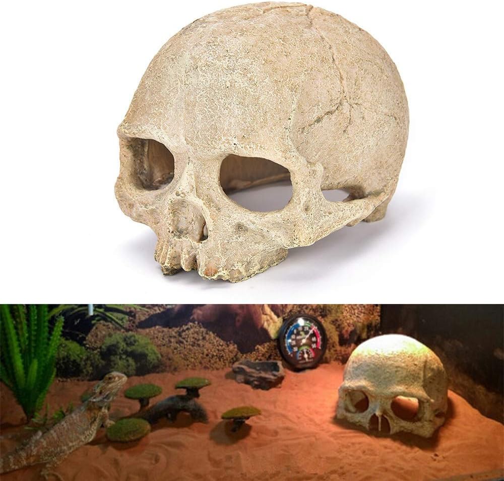 skull aquarium decorations