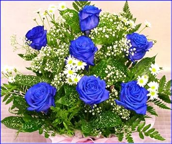 美しい花の画像 エレガント花 言葉 祝福