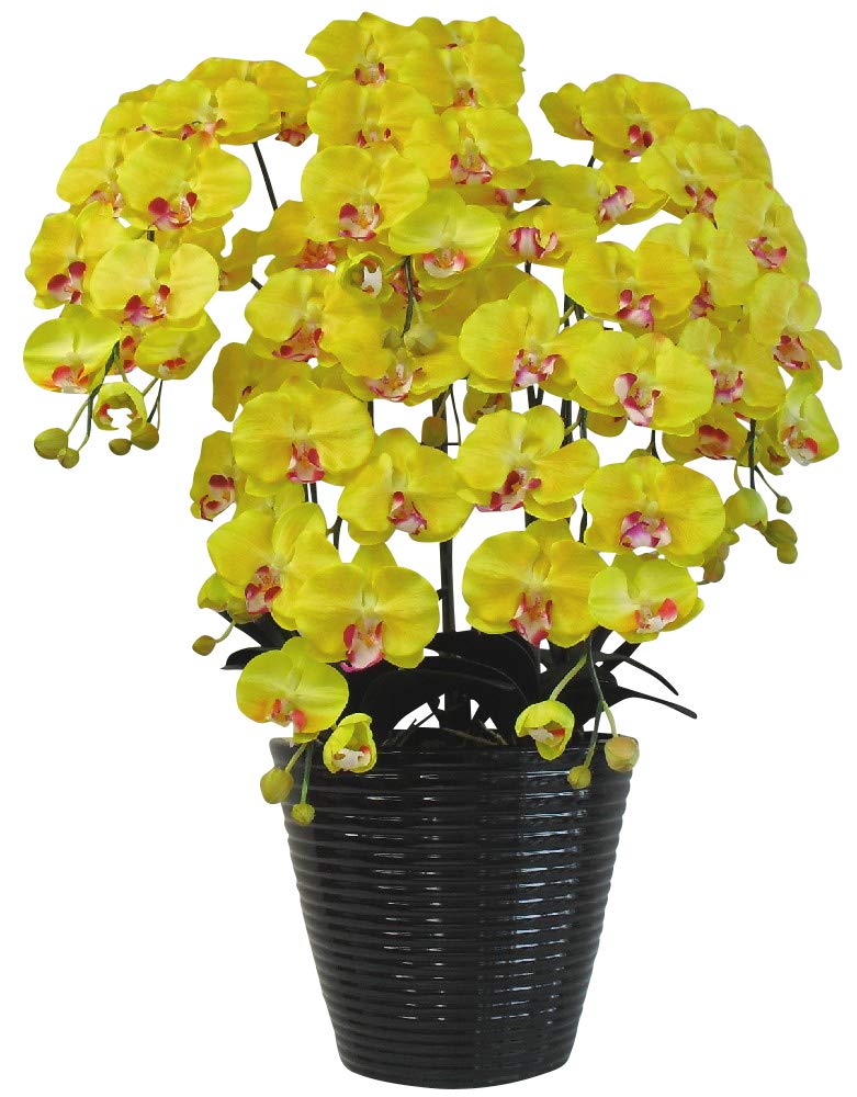 通販 アートフラワー 鉢植え 造花の胡蝶蘭 光触媒 Lサイズ 5本立 B00lke498o H95cm 黄 黒鉢 人工観葉植物 Thelookoutstation Com