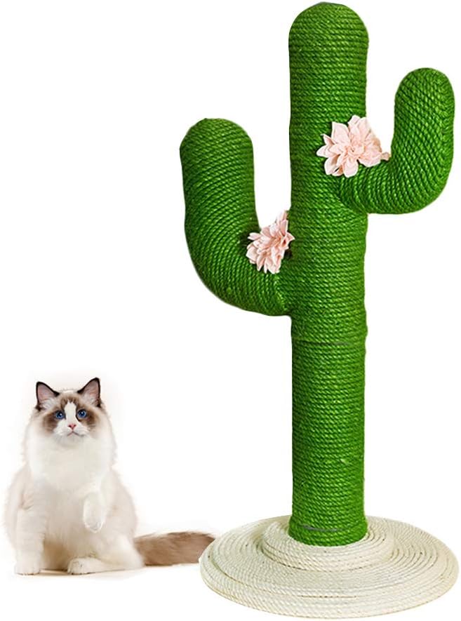 Best Cat Scratching Post (2020)