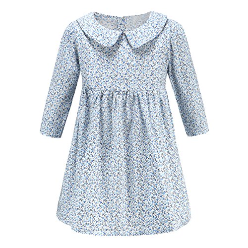 Baby girl dress floral patterns toddler skirt 2017 new style cott…