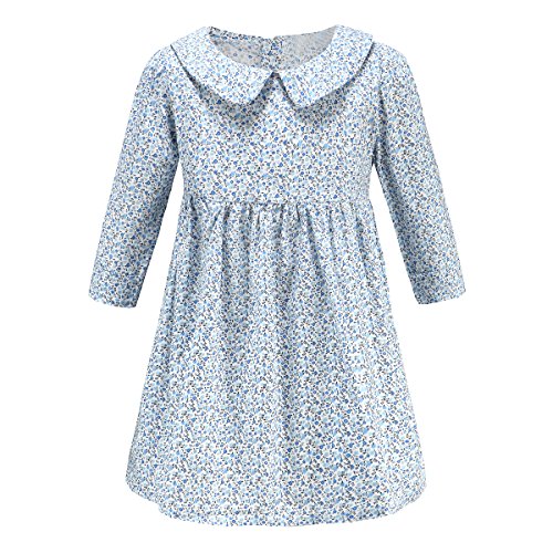 Baby Girl Dress Floral Patterns Toddler Skirt 2017 New Style Cotton Onesie Dress,Blue,120/XL