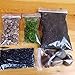 Premium Kit for Small Terrarium (Succulent, Cactus, and Fairy Garden)
