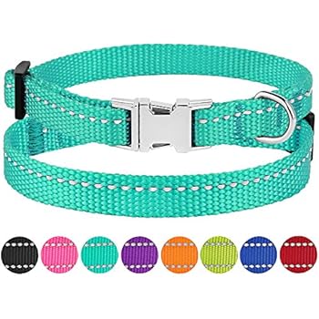CollarDirect Small Dog Collar Nylon Reflective Puppy Collar Adjustable with Metal Buckle Black Pink Mint Green Lime Orange Red Purple Blue (Neck Fit 7