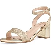 DREAM PAIRS Women's Open Toe Ankle Strap Low Block Chunky Heels Sandals Party Dress Pumps Shoes