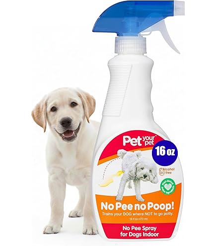 Amazon.com: So Phresh Go Right Here Potty Training Spray 16 oz