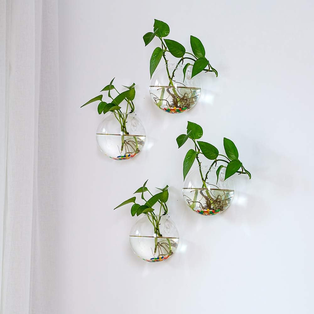 Glasseam Wall Hanging Glass Planters 6Pcs Spherical Shape Plant Pots Terrarium Container Vase with 6.36 OZ Colorful Stones Indoor Outdoor for Home Garden Office Wedding - Image 5