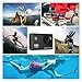DBPOWER 1080P Action Camera 12MP Waterproof Sports Camera 140 Degree Wide Angle Lens, 30m Underwater DV Camcorder with 14 Accessories and 2 Batteries