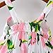 RJXDLT Baby Girls Sling Bowknot Lemon Print Skirt Dress 0-6 Months Pink