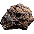 UKCOCO Real Meteorite Space Rock Meteorite Science Collection Lithosiderite Ornament with Box for Lab Random Box Color