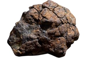 UKCOCO Authentic Meteorite Specimen Irregular for Science Education Decorative Teaching Model Unique Desktop Ornament for Meteorite Appreciation and Collection