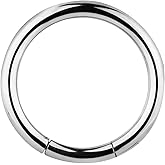 Forbidden Body Jewelry 12g 1/2 Inch Surgical Steel Segment Hoop Ring Circular Barbell