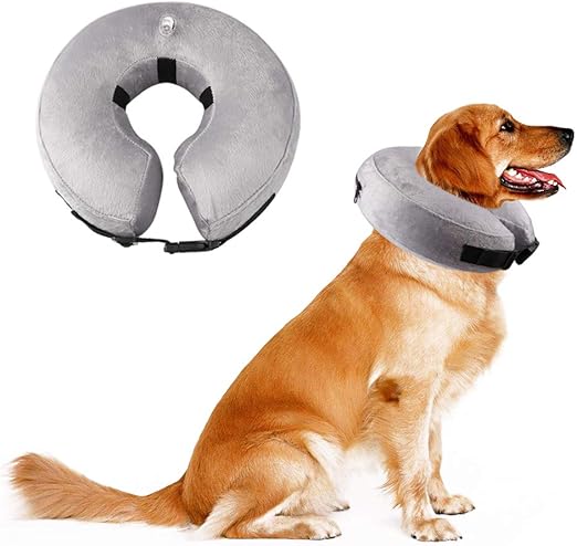 air cone for dogs