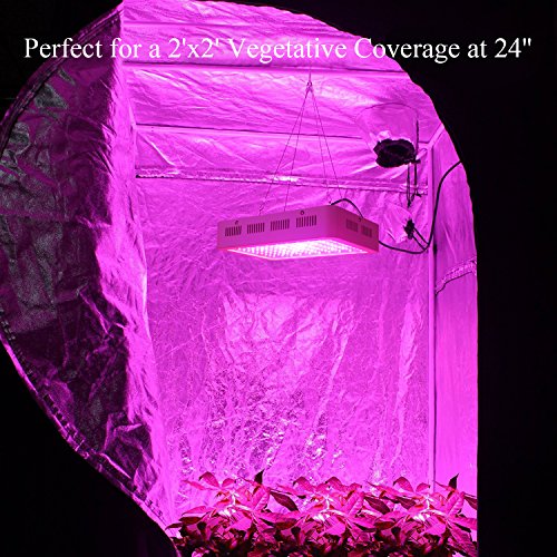 Roleadro LED Grow Light, Galaxyhydro Series 300W Indoor Plant Grow Lights Full...