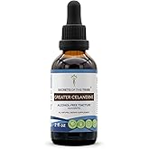 Secrets of the Tribe Greater Celandine Alcohol-Free Liquid Extract, Greater Celandine (Chelidonium Majus) Tincture Supplement (2 FL OZ)