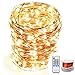 OrgMemory Copper LED Fairy Lights, (80 Ft, 240 LEDs, Warm White, UL Listed Power Adapter), Room Lights, Garland Lights with Remote for Wedding, Xmas, Outdoor and Indoor Room Decor